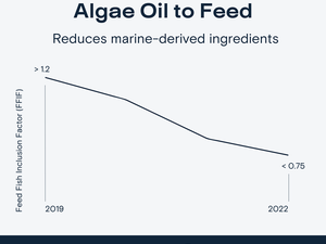 Atlantic Sapphire to include algal omega-3 ingredients in RAS feeds