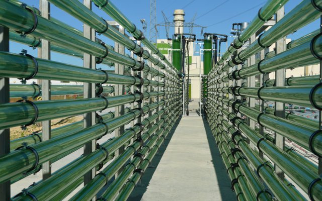 AlgaEnergy points at Asian market