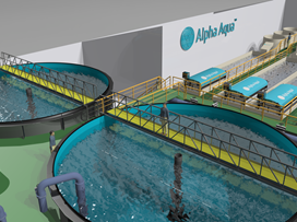 Alpha Aqua targets American RAS aquaculture markets