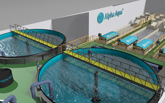 Alpha Aqua targets American RAS aquaculture markets