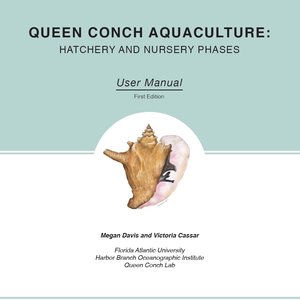 Queen conch aquaculture: Hatchery and nursery phases