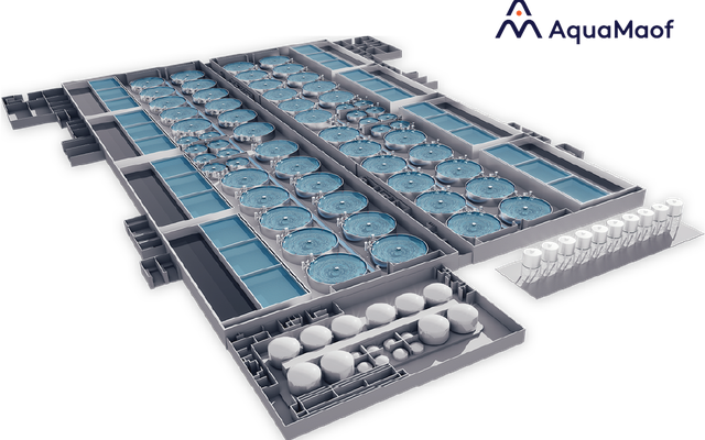 AquaMaof partners with Kvidul for salmon RAS farm in Norway