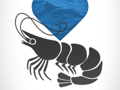 New innovative genotyping tool for whiteleg shrimp