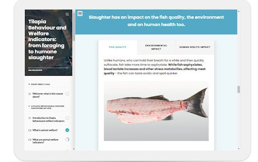 03. Example from Tilapia Behaviour and Welfare Indicators course