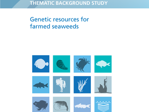 Genetic resources for farmed seaweeds