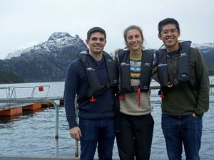Manolin releases salmon disease prediction model