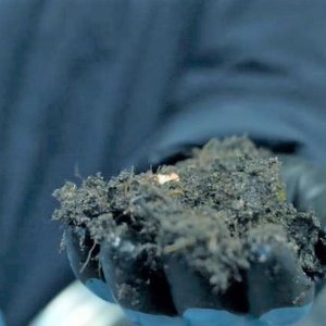 $3 million contract for land-based trout farms sludge treatment