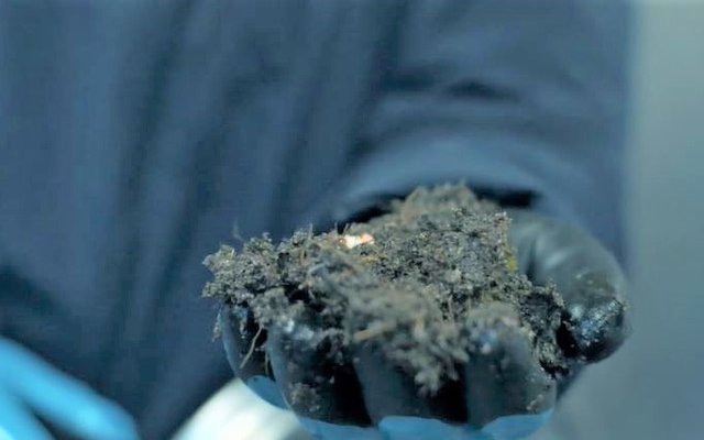$3 million contract for land-based trout farms sludge treatment