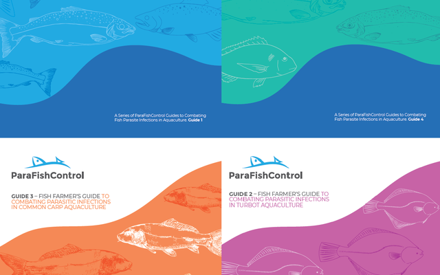 Fish farmers guide to combat parasitic infections in salmon, gilthead seabream and European seabass, turbot and common carp