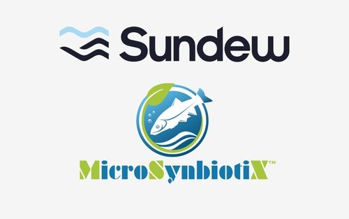 Sundew acquires MicroSynbiotiX with a potential oral vaccine against WSSV in shrimp