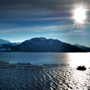 Norway unveils new aquaculture strategy for sustainable growth