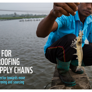 WWFs roadmap for sustainable shrimp supply chain