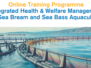 Join training program on seabass and seabream health and welfare