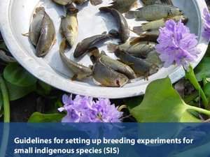 Guidelines for setting up breeding experiments for small indigenous species