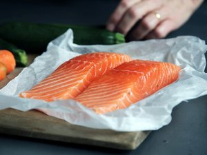 Nutreco, AKVA invest in AquaCons US RAS salmon project