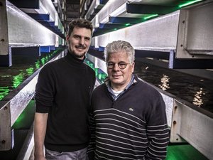 Dutch turbot farmer first company to achieve ASC Flatfish certification