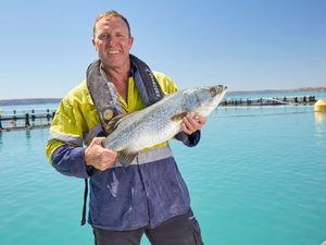 Barramundi Group plans AU$350 million expansion