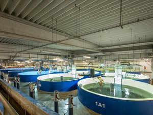 Two new RAS contracts for AquaMaof in Russia and Kazakhstan