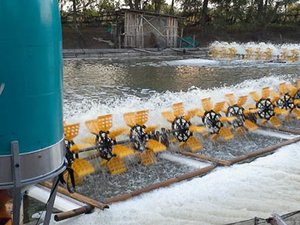 eFishery raises funds to transform traditional Indonesian aquaculture farms