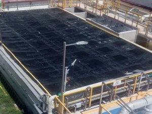 Geomembrane solutions for odor elimination in aquaculture farms