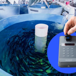 BactiQuant unveils fungal detection solution for hatcheries