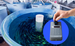 BactiQuant unveils fungal detection solution for hatcheries