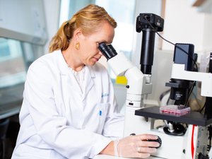 Researchers to test CRISPR to fight sea lice