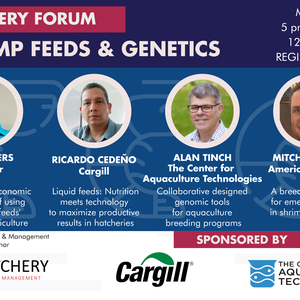 Fast growth feeds, liquid feeds, breeding tools and strategies to improve shrimp hatchery performance