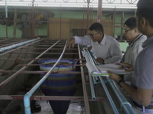 International project to develop breeding program for rohu carp in Myanmar