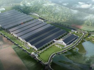 Nordic Aqua Partners selects Benchmark Genetics as egg supplier to Chinese RAS project