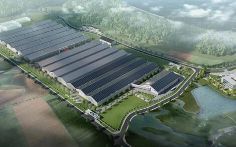 Nordic Aqua Partners selects Benchmark Genetics as egg supplier to Chinese RAS project