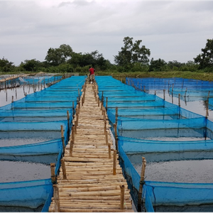WorldFish signs agreement to transfer GIFT to Nigeria