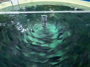 AquaMaof to exhibit at AgraMe 2021 for the first time