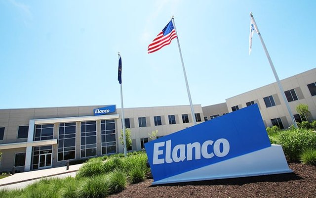 Elanco restructures, eliminates 900 positions