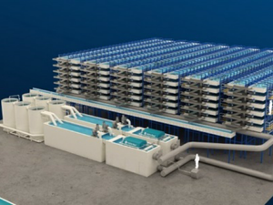 Alpha Aqua delivers the first olive flounder RAS farm in the Republic of Korea