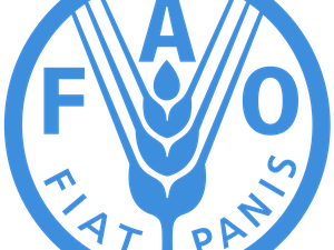 FAO encourages more selective breeding in aquaculture