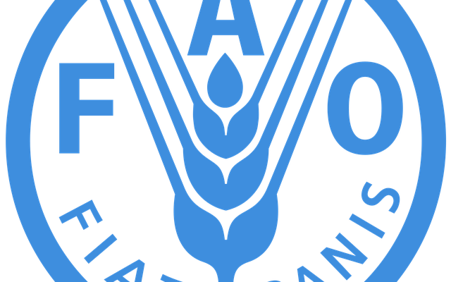 FAO encourages more selective breeding in aquaculture