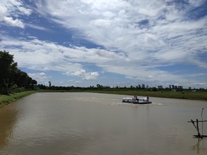 Two Vietnamese provinces to build pangasius hatcheries