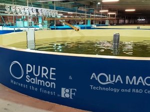 Pure Salmon achieves sustainability recommendation