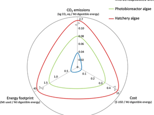 Can microencapsulated algal feeds replace conventional live algal diets in bivalves?
