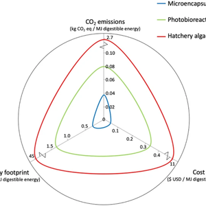 Can microencapsulated algal feeds replace conventional live algal diets in bivalves?