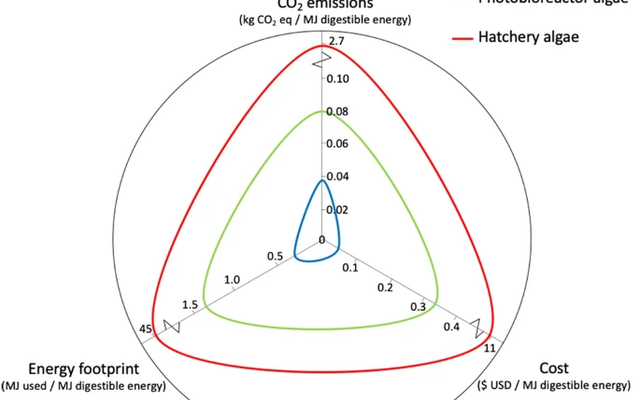 Can microencapsulated algal feeds replace conventional live algal diets in bivalves?