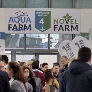 AlgaeFarm to take place alongside AquaFarm