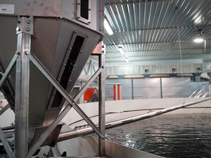 German supplier develops fish feeding system