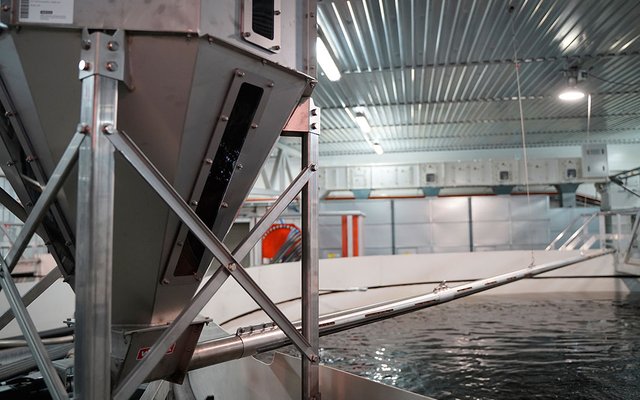 German supplier develops fish feeding system