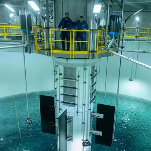 Salmon Evolution completes first smolt release