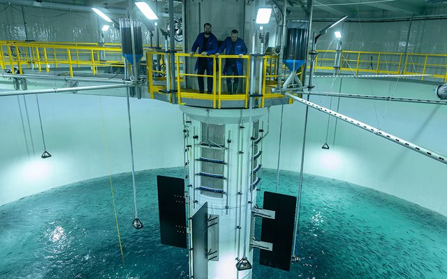 Salmon Evolution completes first smolt release