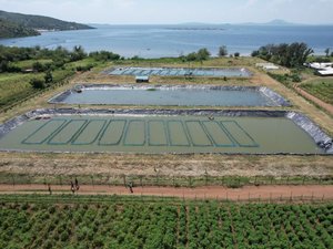 Victory Farms build Africa's first fully autonomous tilapia hatchery