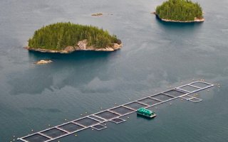 Canadian government releases next steps in transitioning away from net pens in British Columbia