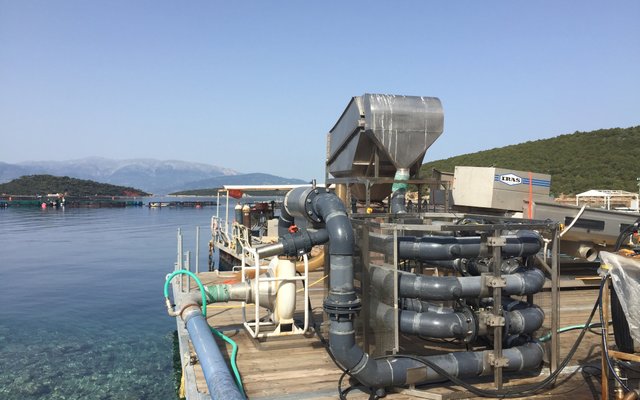Ace Aquatec partners with key distributors to expand in the American market